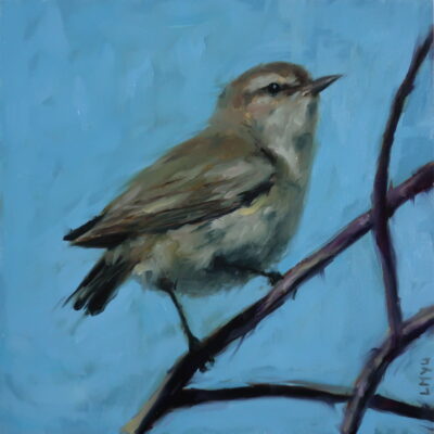 A detailed bird painting of a chiffchaff perched on a branch, set against a clear blue sky. The soft, earthy tones of the bird contrast beautifully with the bright background. Oil painting on canvas.