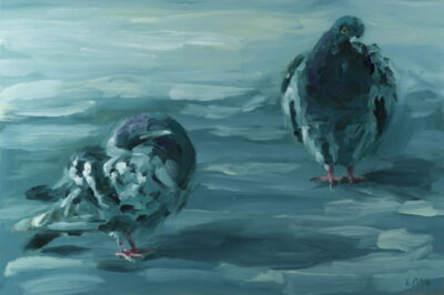 Two pigeons resting on a muted surface with soft shadows.
