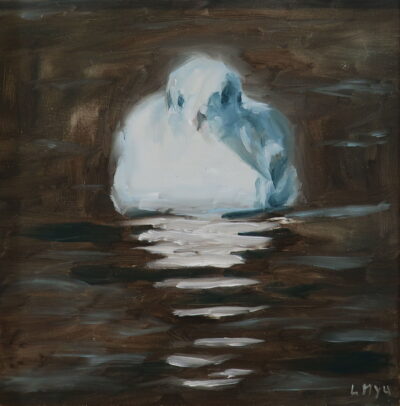 A seagull floating peacefully on dark, reflective water.