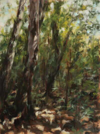 Forest in Summer - Oil painting of a sunlit forest scene with warm green and brown tones, using a loose, impressionistic style.