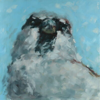 A sparrow gazes upwards, set against a vibrant blue sky.