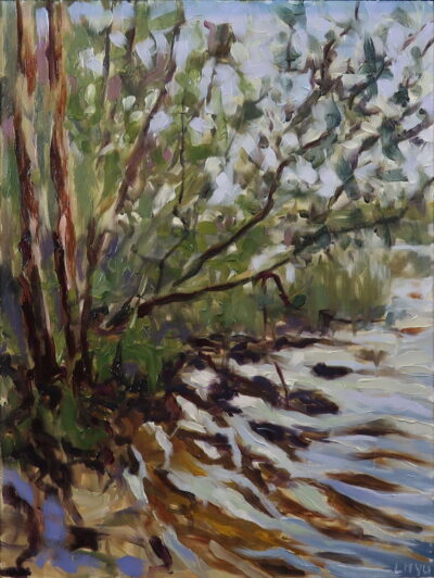 Overhanging branches from trees along the edge of a lake. The water reflects the trees and their leaves in a calm, tranquil scene.